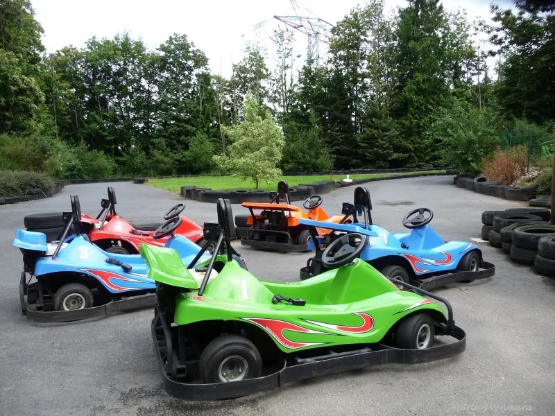 eendjes Vrijwilligerswerk op de kinderboerderij zo gek nog niet eendjes Vrijwilligerswerk op de kinderboerderij zo gek nog niet
